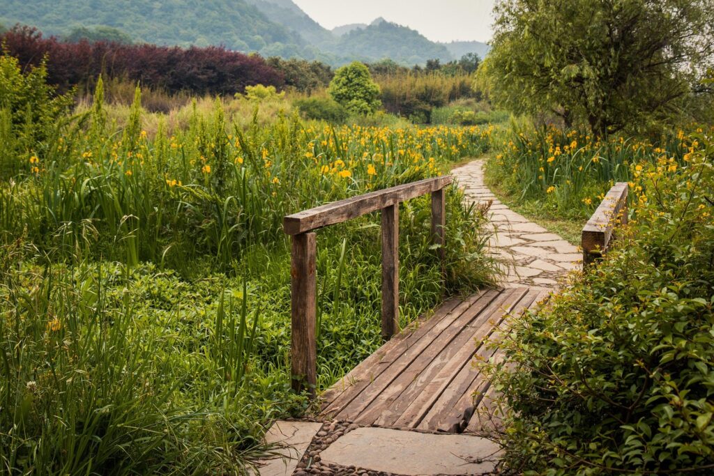 The way forward appears as you begin to walk
