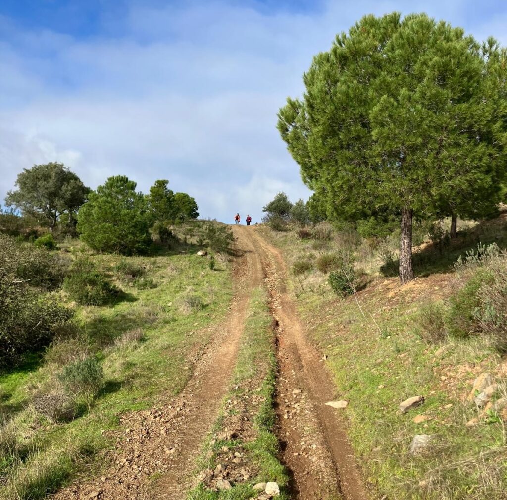 Uphill path symbolising the feeling of carrying everything alone
