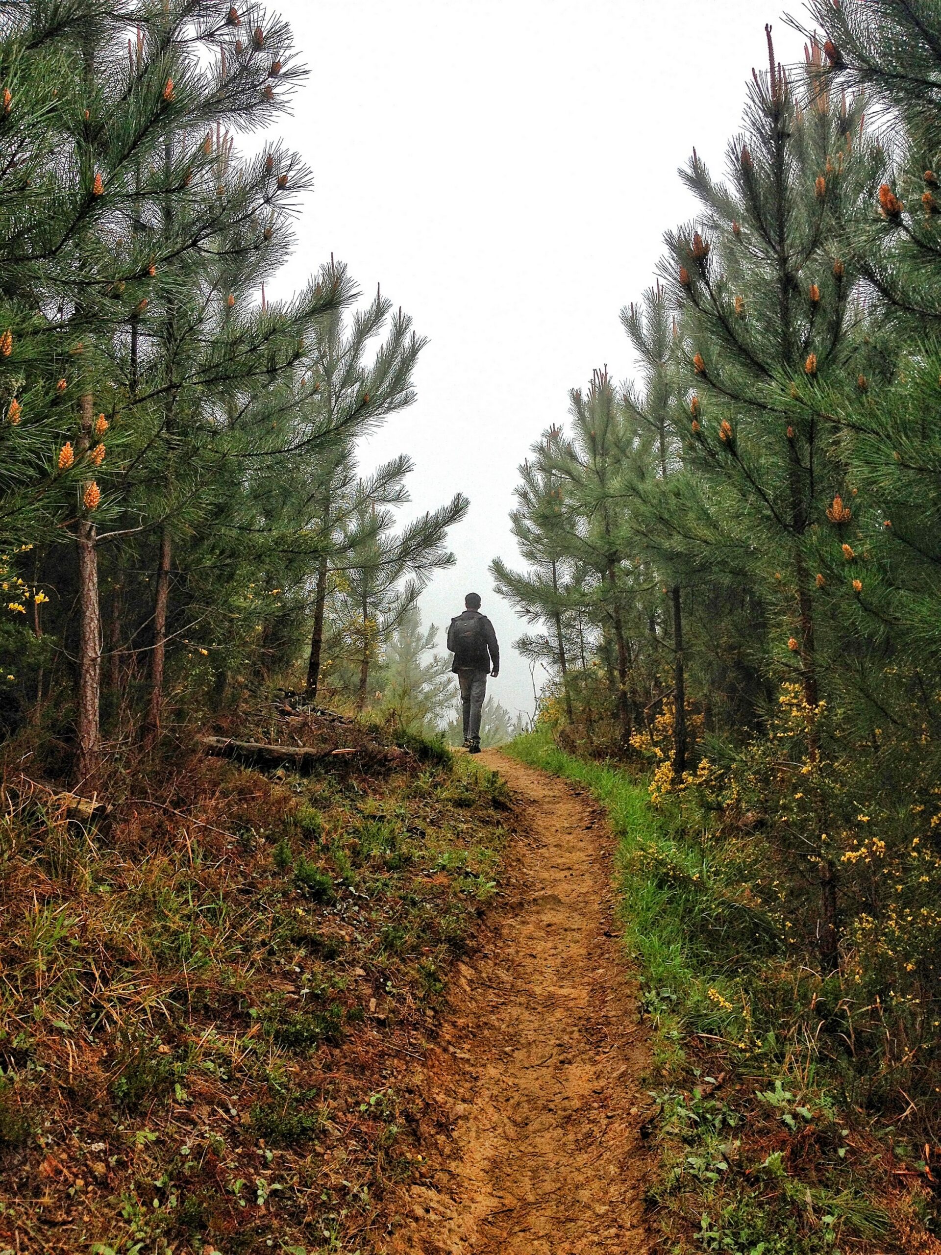 Why Overthinking Doesn’t Lead to Clarity
