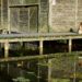Person sitting quietly beside the water reflecting during a peaceful moment.