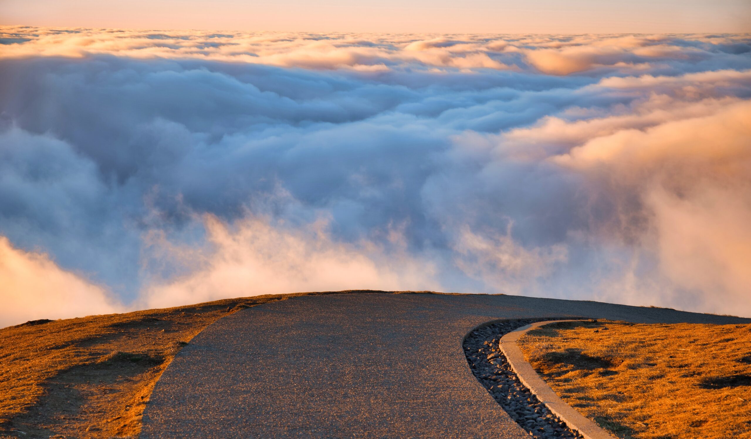 The Need for Control – What It May Be Trying to Tell You